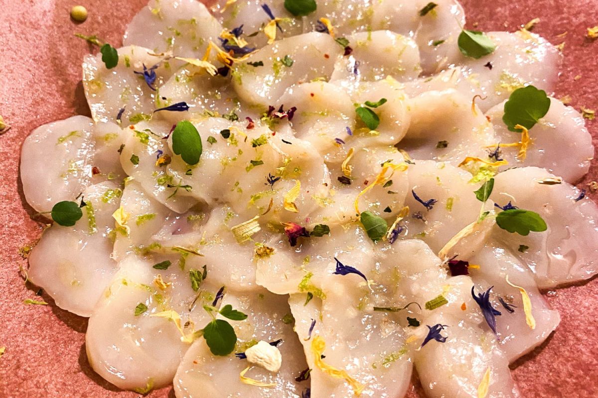 Une entrée de fête : les coquilles Saint-Jacques et saumon fumé de Cyril Lignac