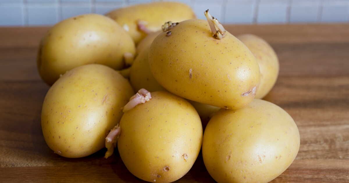 Redonnez vie à vos pommes de terre molles : une recette simple et délicieuse