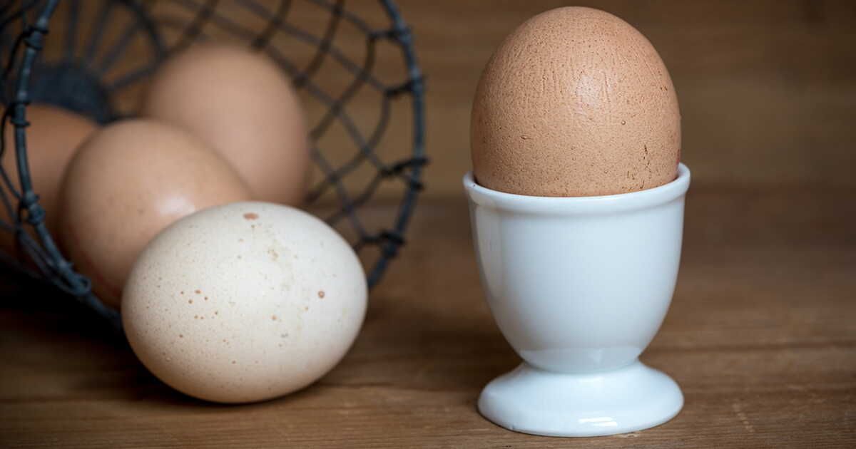 Des œufs au menu : 7 recettes à la fois simples et savoureuses