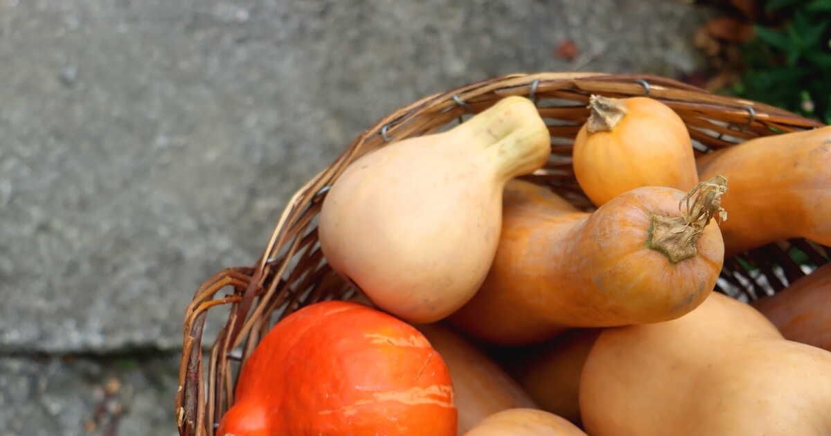 Des recettes automnales de courges : potimarron, potiron et butternut au four