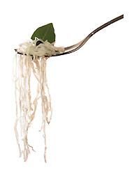 L'Alsace se réinvente : quand la gastronomie rencontre le TGV