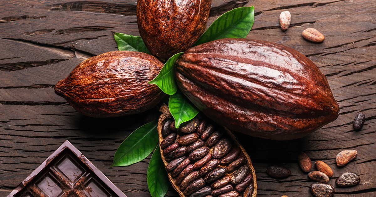 Pâques : pourquoi investir dans des chocolats écolos