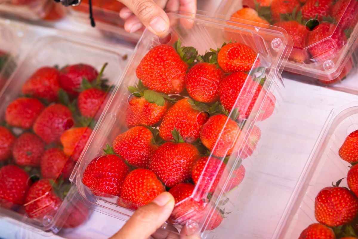 le secret pour choisir des fraises fraîches au supermarché
