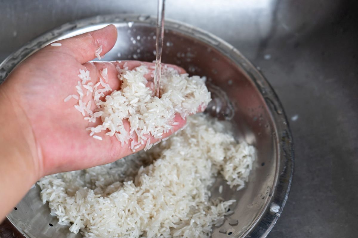 Faut-il vraiment rincer le riz avant de le cuire ? Jamy Gourmaud lève le voile
