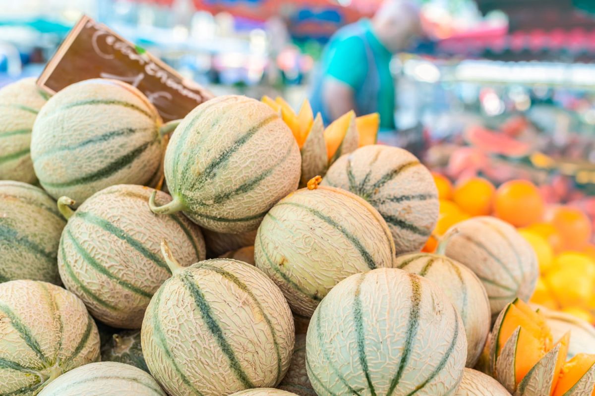 les secrets d'un melon parfait révélés par un expert