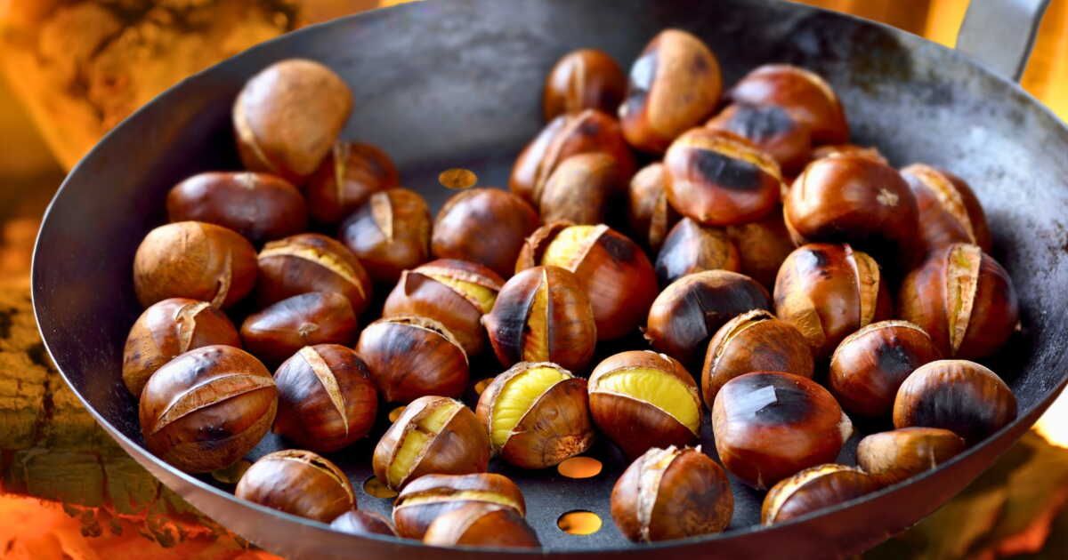 Les marrons : un délice d'automne à cuisiner