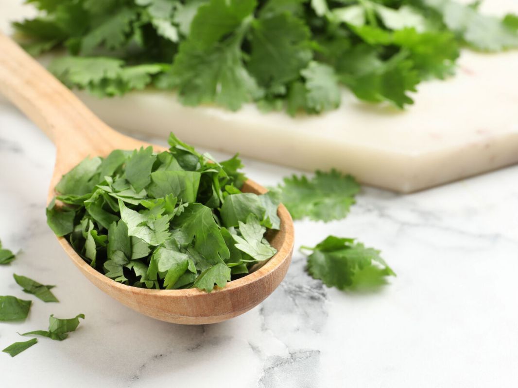 Coriandre : 9 recettes légères et parfumées à découvrir
