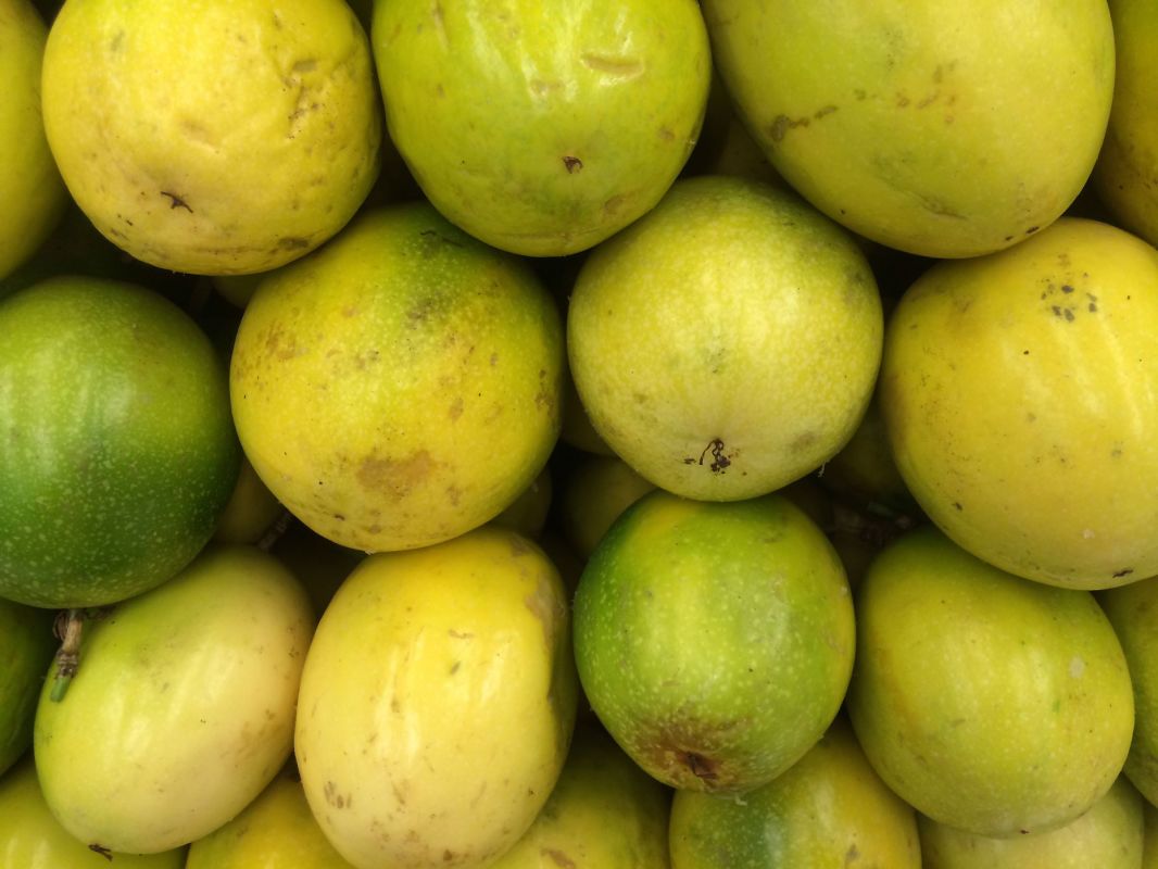Camu-camu : le superfruit amazonien contre l'obésité