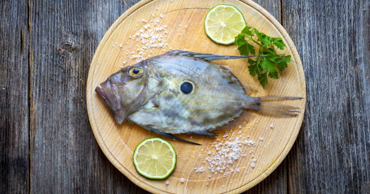 Dégustez le poisson saint-pierre : conseils et recettes succulentes