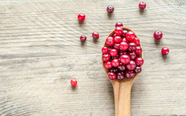 Les vertus insoupçonnées des cranberries contre les bactéries résistantes