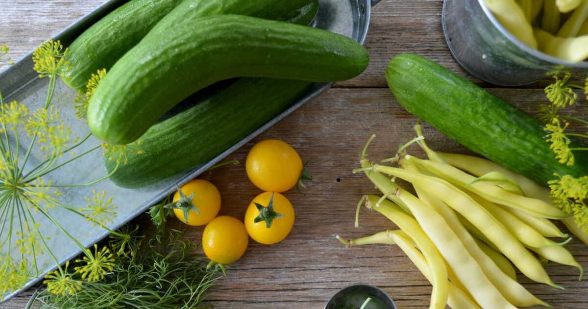 Concombre : mythe ou vérité sur le dégorgement pour une meilleure digestion ?