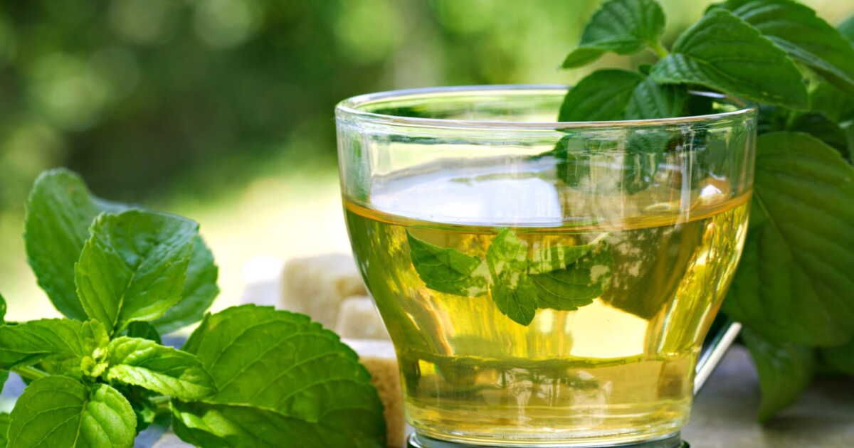 Boire du thé à la menthe : un remède naturel contre l'acné